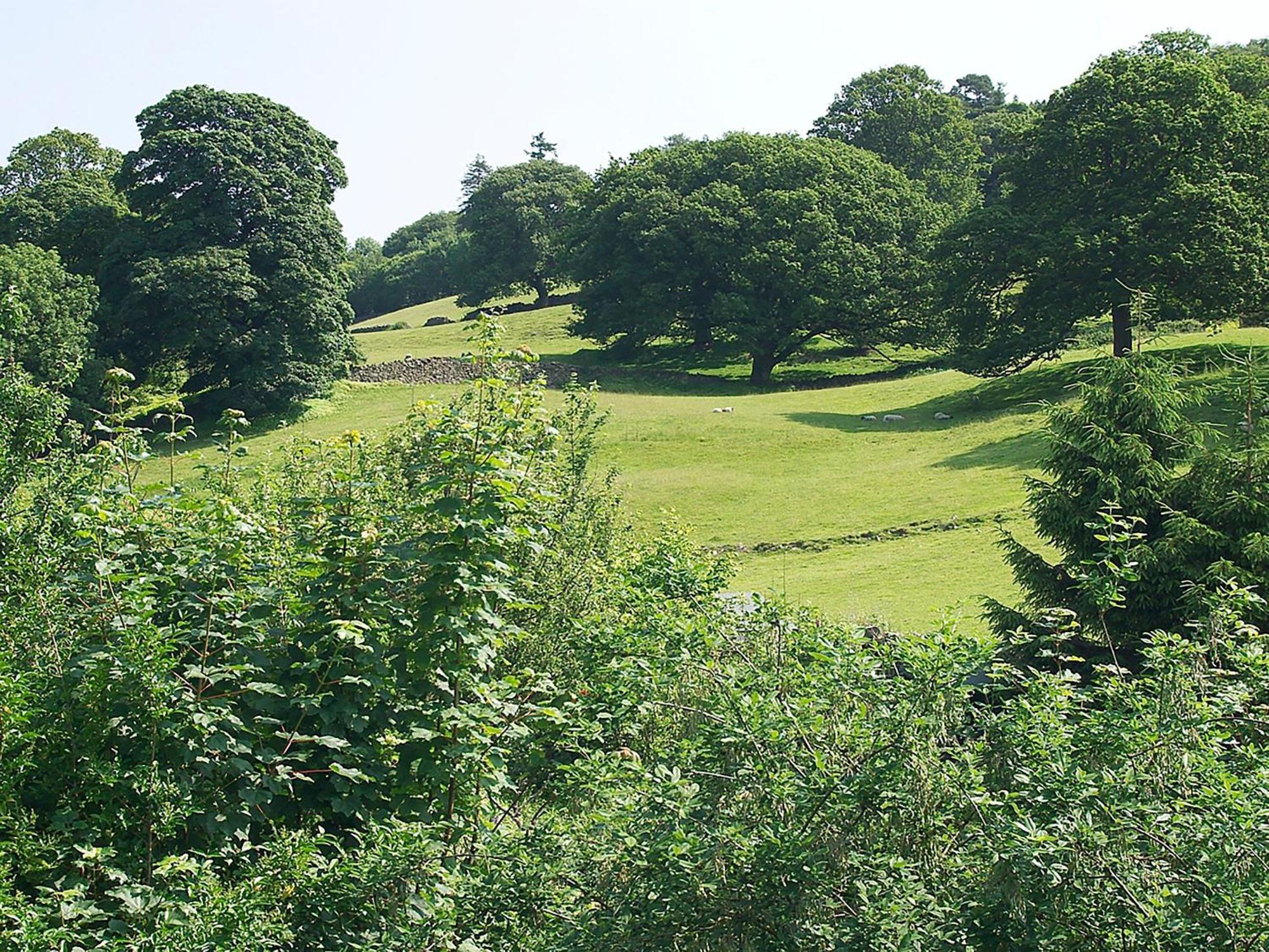 Howarth Cottage Troutbeck Bridge エクステリア 写真